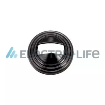 Poignet de porte, équipment intérieur ELECTRIC LIFE ZR6019