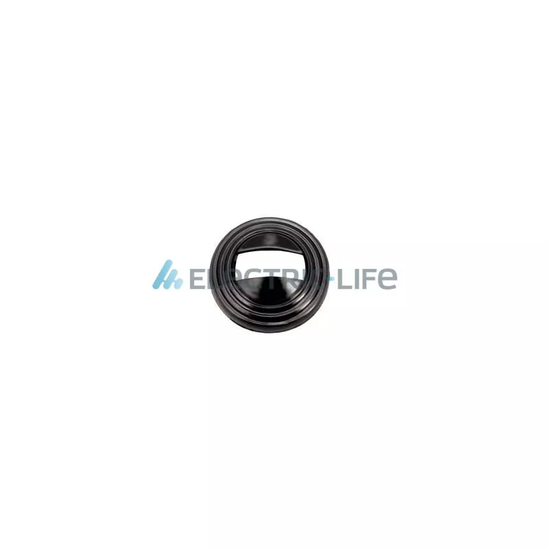 Poignet de porte, équipment intérieur ELECTRIC LIFE ZR6019