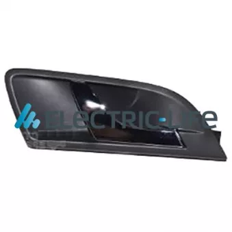 Poignet de porte, équipment intérieur arrière droit ELECTRIC LIFE ZR60243