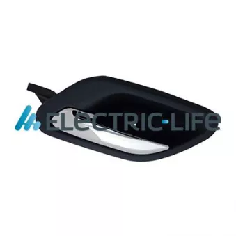 Poignet de porte, équipment intérieur avant gauche ELECTRIC LIFE ZR60323