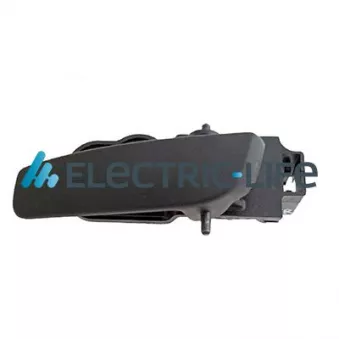 Poignet de porte, équipment intérieur arrière droit ELECTRIC LIFE ZR60399