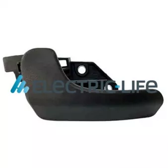 Poignet de porte, équipment intérieur avant gauche ELECTRIC LIFE ZR60409