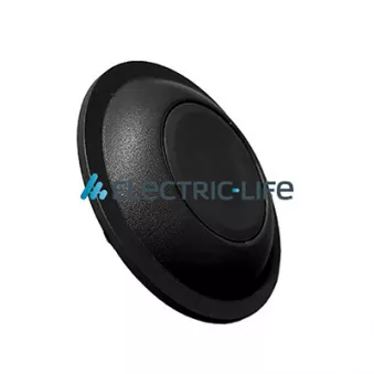 Poignet de porte, équipment intérieur ELECTRIC LIFE ZR60422