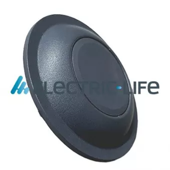 Poignet de porte, équipment intérieur ELECTRIC LIFE ZR60423