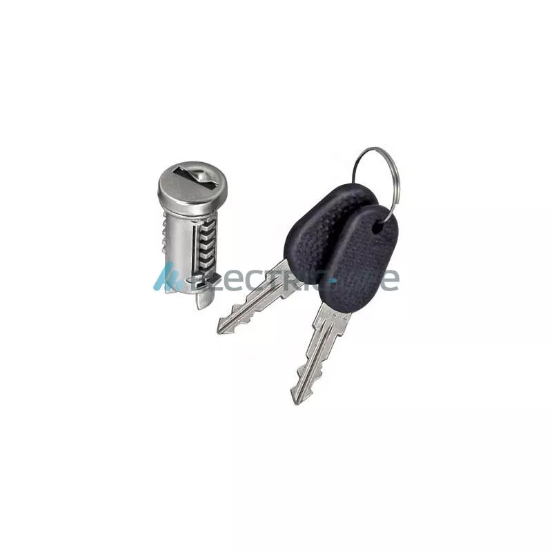 Cylindre de serrure ELECTRIC LIFE ZR801003