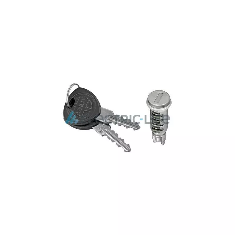 Cylindre de serrure ELECTRIC LIFE ZR801018