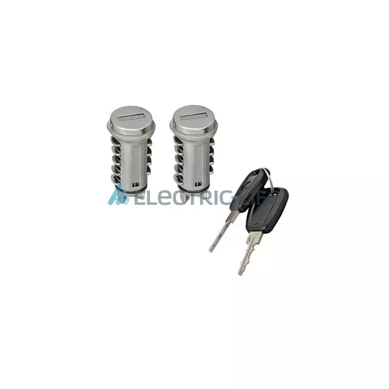 Poignée extérieure de porte ELECTRIC LIFE ZR801224
