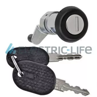 Boîtier de cylindre de serrure arrière droit ELECTRIC LIFE ZR80382