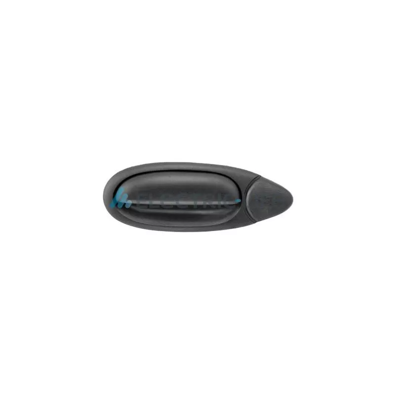 Poignée extérieure de porte arrière gauche ELECTRIC LIFE ZR80469