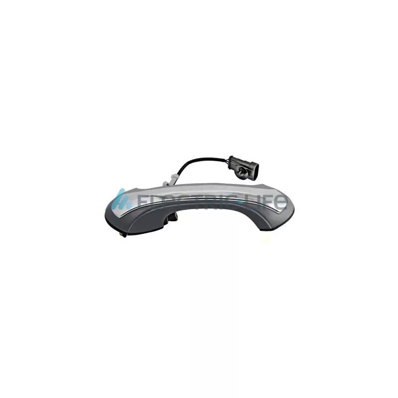 Poignée extérieure de porte arrière droit ELECTRIC LIFE ZR80498