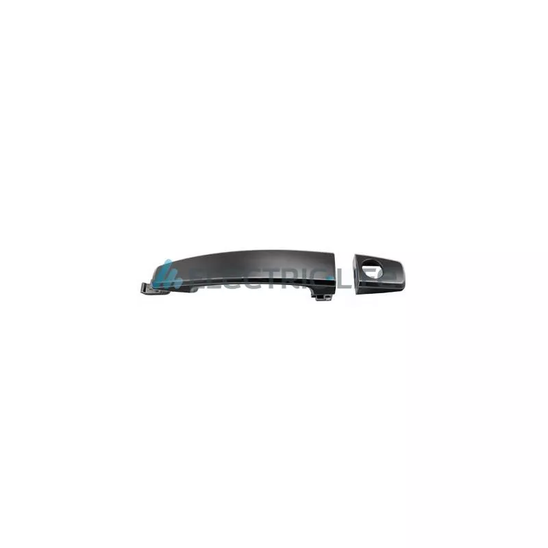 Poignée extérieure de porte avant gauche ELECTRIC LIFE ZR80609
