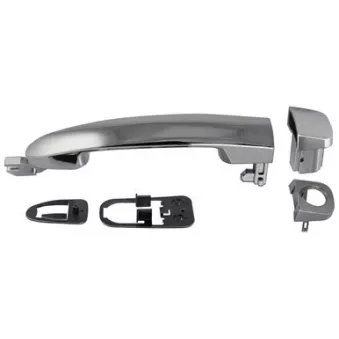 Poignée extérieure de porte avant gauche ELECTRIC LIFE ZR80673