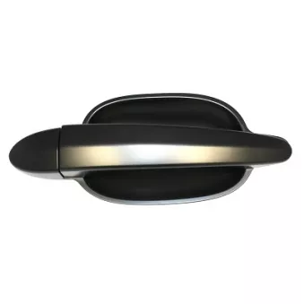 Poignée extérieure de porte avant droit ELECTRIC LIFE ZR80691