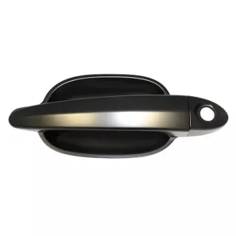 Poignée extérieure de porte avant gauche ELECTRIC LIFE ZR80692