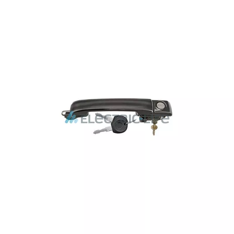 Poignée extérieure de porte ELECTRIC LIFE ZR8075208