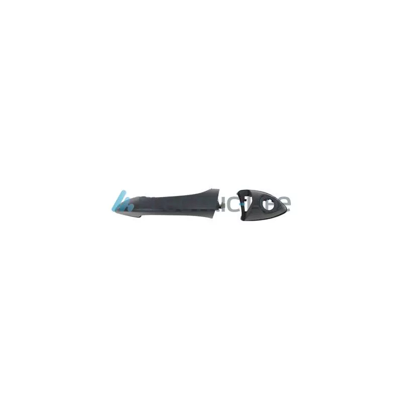 Poignée extérieure de porte avant gauche ELECTRIC LIFE ZR80756