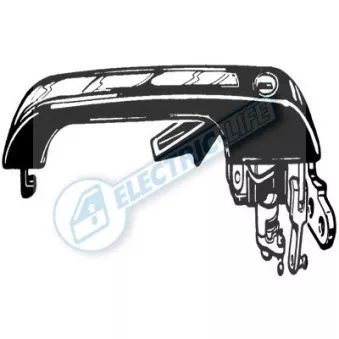 Poignée extérieure de porte avant gauche ELECTRIC LIFE ZR8076505