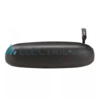 Poignée extérieure de porte arrière droit ELECTRIC LIFE ZR8084003