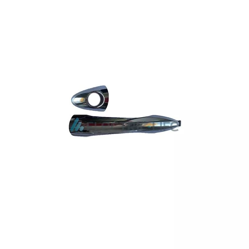 Poignée extérieure de porte avant gauche ELECTRIC LIFE ZR80888
