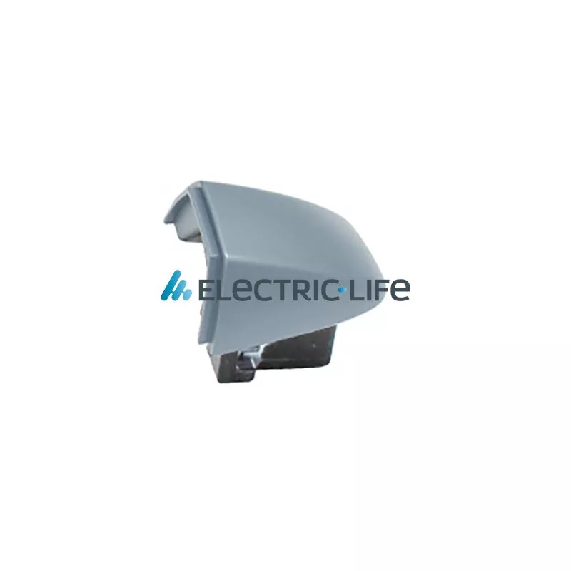 Poignée extérieure de porte arrière gauche ELECTRIC LIFE ZR80928