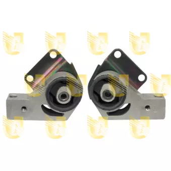Suspension, Différentiel UNIGOM 395439K