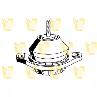 Support moteur avant droit UNIGOM