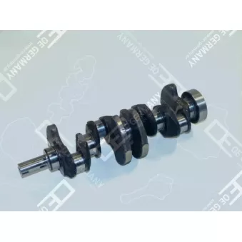 Vilebrequin OE Germany 01 0300 611000