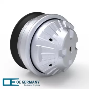Support moteur avant droit OE Germany 800050