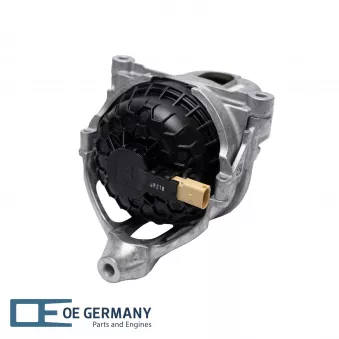 Support moteur avant droit OE Germany 800557