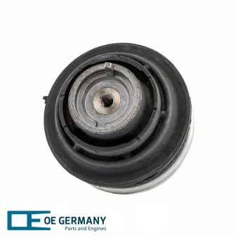 Support moteur avant droit OE Germany 800819