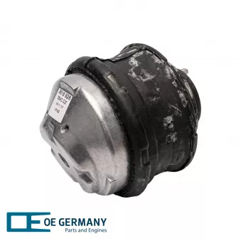 Support moteur avant gauche OE Germany 800843