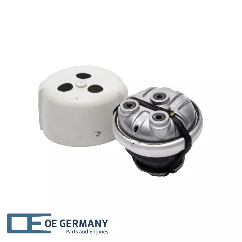 Support moteur OE Germany 800847