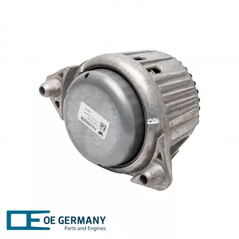 Support moteur avant gauche OE Germany 800858
