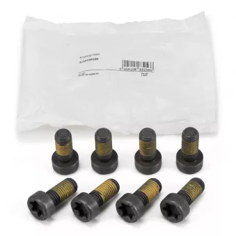 Visserie, volant moteur LUK 411 0199 10