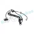 Capteur, vitesse de roue avant droit RAP BRAKES R-A0352 - Visuel 1