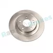Jeu de 2 disques de frein arrière RAP BRAKES R-D0049 - Visuel 1