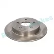 Jeu de 2 disques de frein arrière RAP BRAKES R-D0137 - Visuel 2
