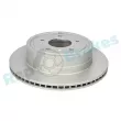 Jeu de 2 disques de frein arrière RAP BRAKES R-D0185 - Visuel 2