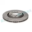 Jeu de 2 disques de frein arrière RAP BRAKES R-D0195 - Visuel 2