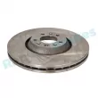 Jeu de 2 disques de frein avant RAP BRAKES R-D0330 - Visuel 2