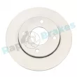 Jeu de 2 disques de frein avant RAP BRAKES R-D0391C - Visuel 1