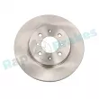Jeu de 2 disques de frein avant RAP BRAKES R-D0393 - Visuel 1