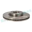 Jeu de 2 disques de frein avant RAP BRAKES R-D0440 - Visuel 2