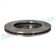 Jeu de 2 disques de frein avant RAP BRAKES R-D0448 - Visuel 3