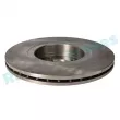 Jeu de 2 disques de frein avant RAP BRAKES R-D0451 - Visuel 3