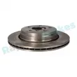 Jeu de 2 disques de frein arrière RAP BRAKES R-D0458 - Visuel 2