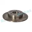 Jeu de 2 disques de frein arrière RAP BRAKES R-D0461 - Visuel 2
