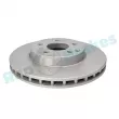 Jeu de 2 disques de frein avant RAP BRAKES R-D0517C - Visuel 2