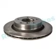 Jeu de 2 disques de frein arrière RAP BRAKES R-D0640 - Visuel 2