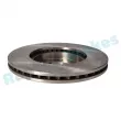 Jeu de 2 disques de frein avant RAP BRAKES R-D0653 - Visuel 3